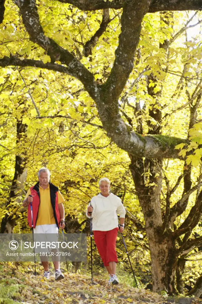 Senior couple nordic walking outdoors