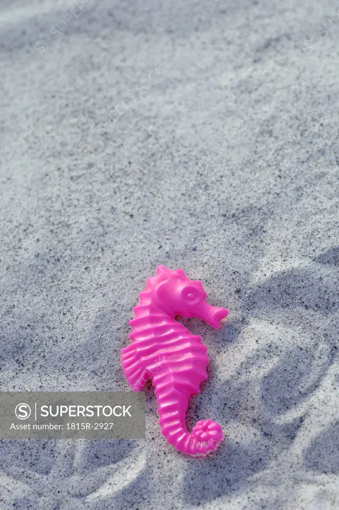 Seahorse in sand, close-up