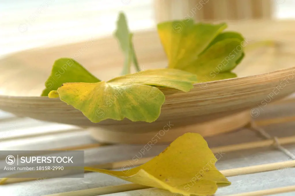 Ginkgo leaves in bowl, close-up