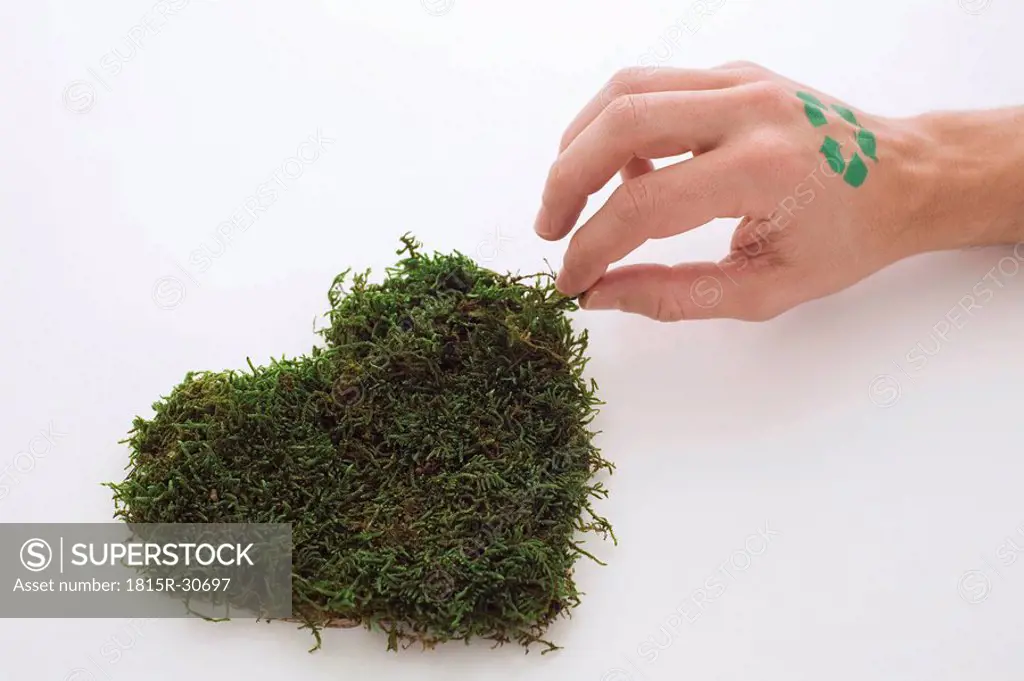 Hand with green sign on heart_shaped grass