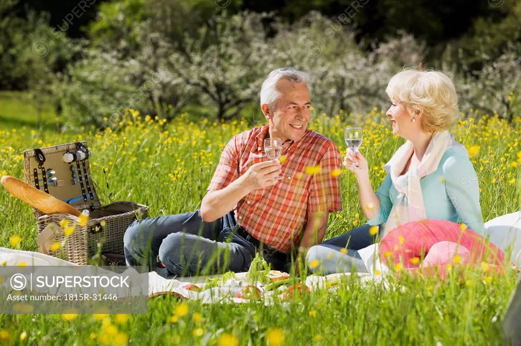 Germany, Baden Württemberg, Tübingen, Senior couple having picnic