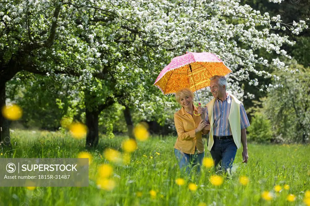 Germany, Baden Württemberg, Tübingen, Senior couple walking through meadow with umbrella