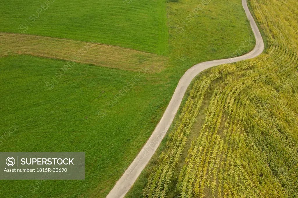 Germany, Field, aerial view