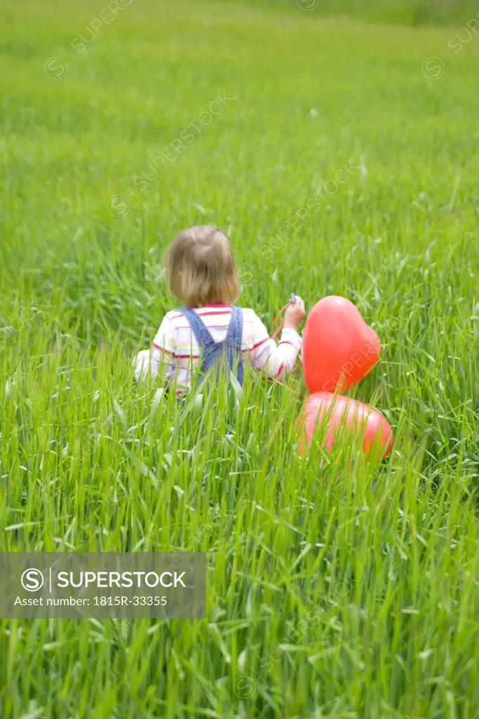 Girl ( 3-4 ) holding bunch of balloons, walking in meadow, rear view