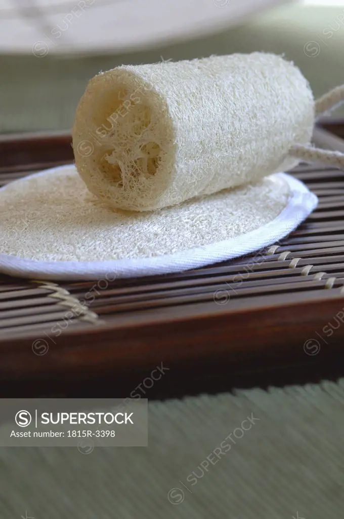Loofah sponge, close-up
