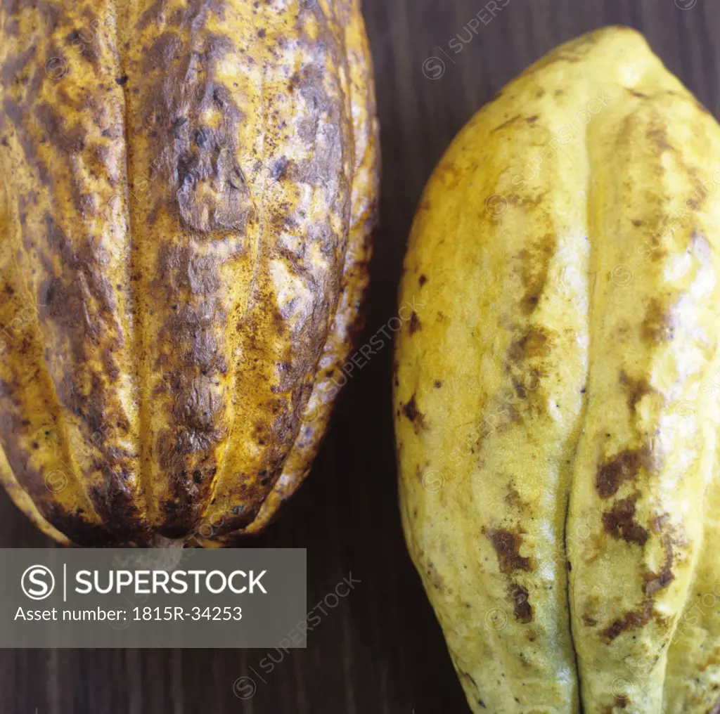 Two Cocoa husks