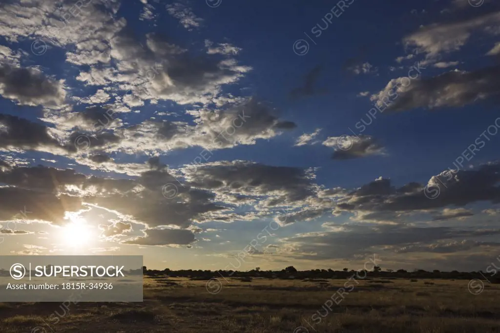 Africa, Botswana, Sunset over Savanna