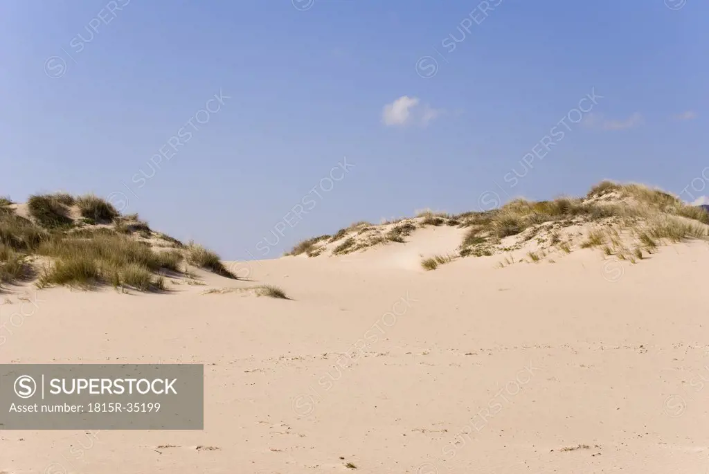 Italy, Sardinia, Sand dunes and grass