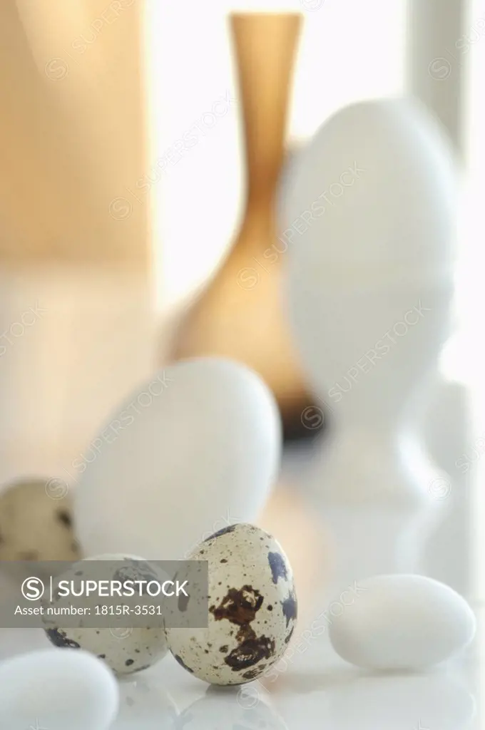 Quail and chicken eggs