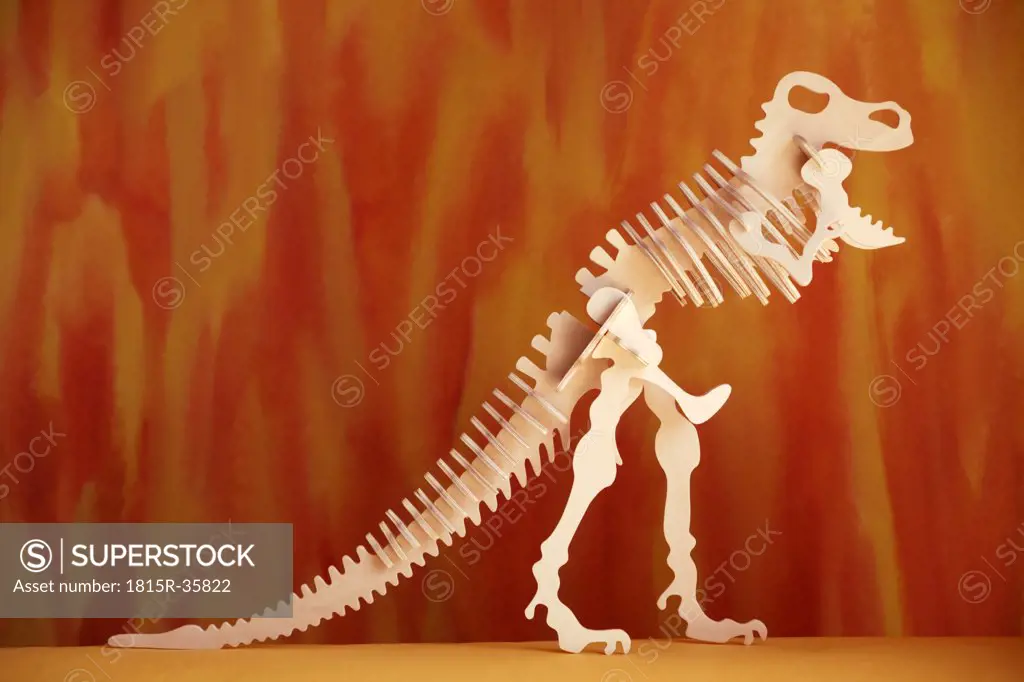Dinosaur skeleton, close-up
