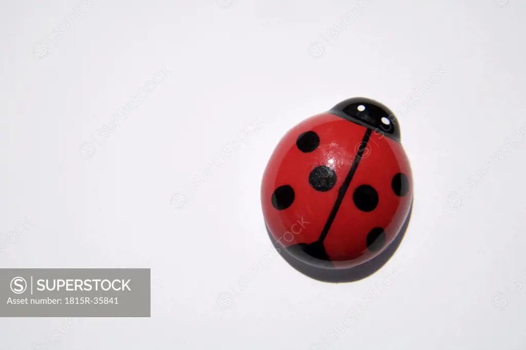 Wooden ladybug, close-up
