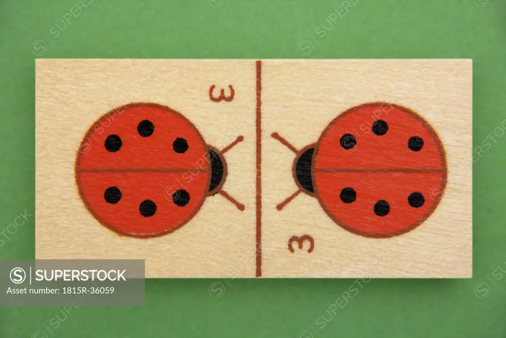 Domino with ladybug pictures, elevated view