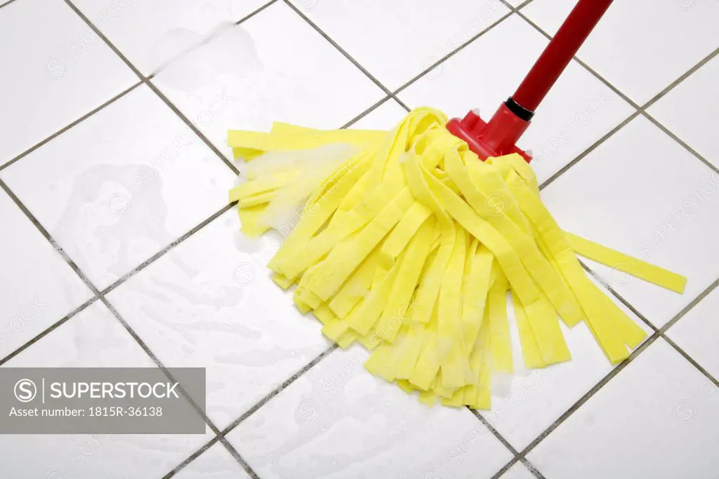 Cleaning mop, close up