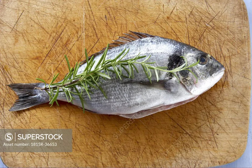 Raw Gilthead seabream and rosemary twig on chopping board, elevated view