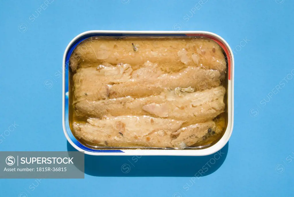 Open tin of Sardines, elevated view