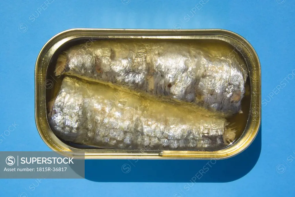 Open tin of sardines, elevated view