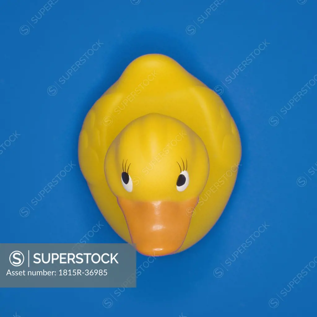 Rubber duck, elevated view