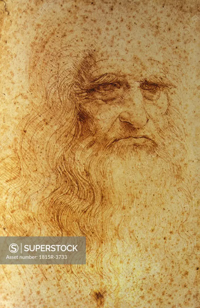 Selfportrait, Leonardo da Vinci