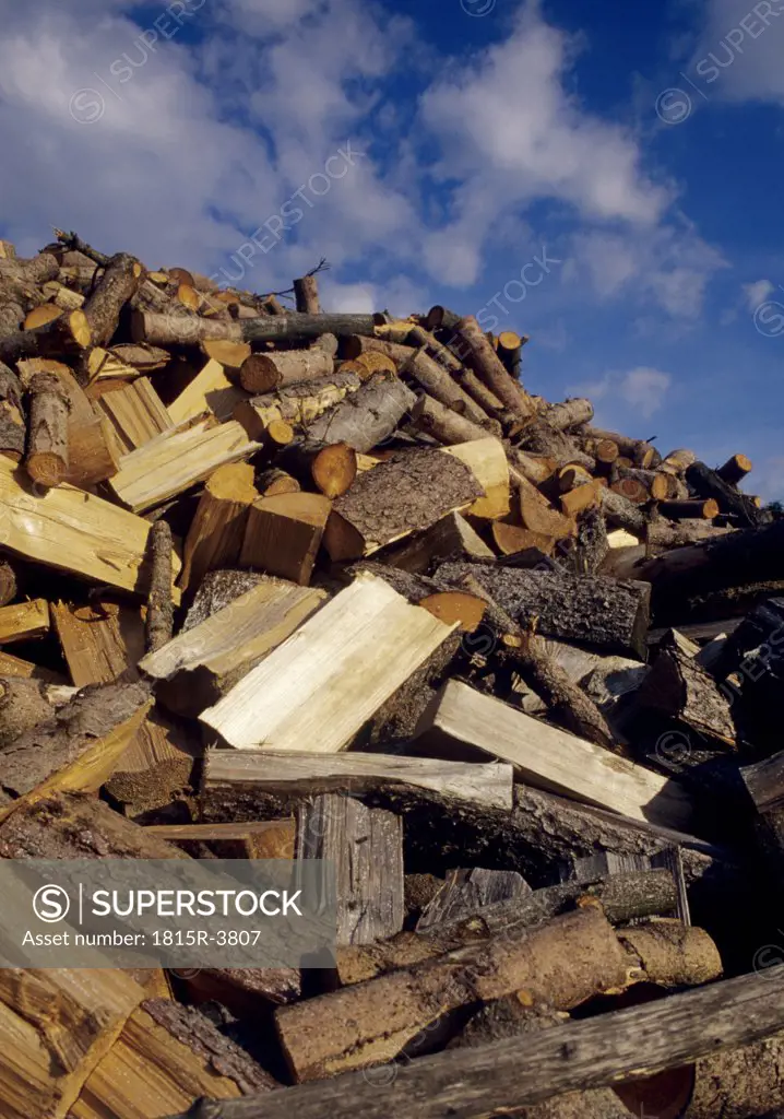 Heap of fire wood