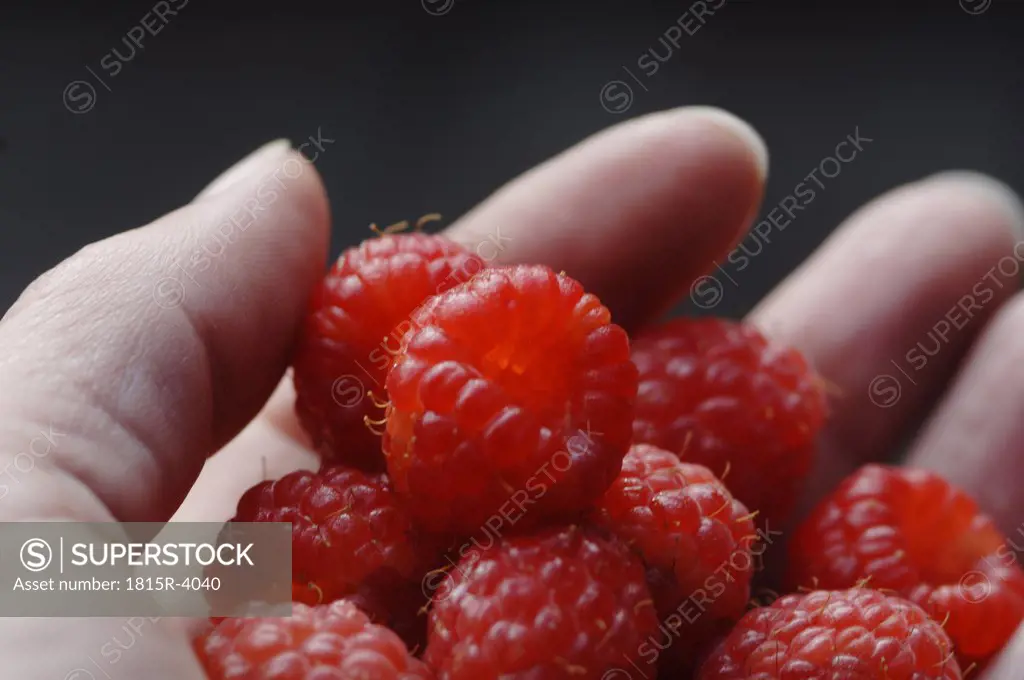 Person holding raspberries, close-up
