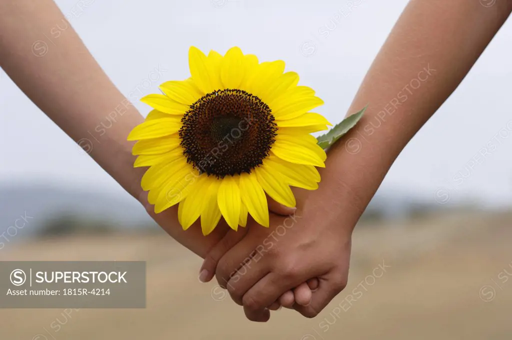 holding hands with sunflower