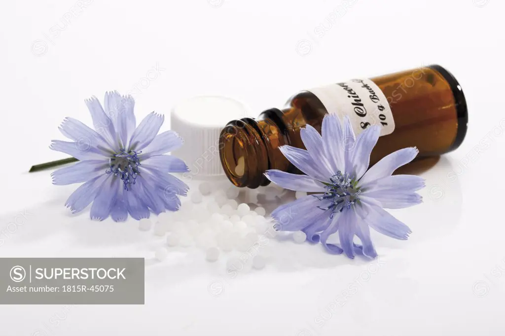 Bottle with Bach Flower Stock Remedy, Chicory (Cichorium intybus)