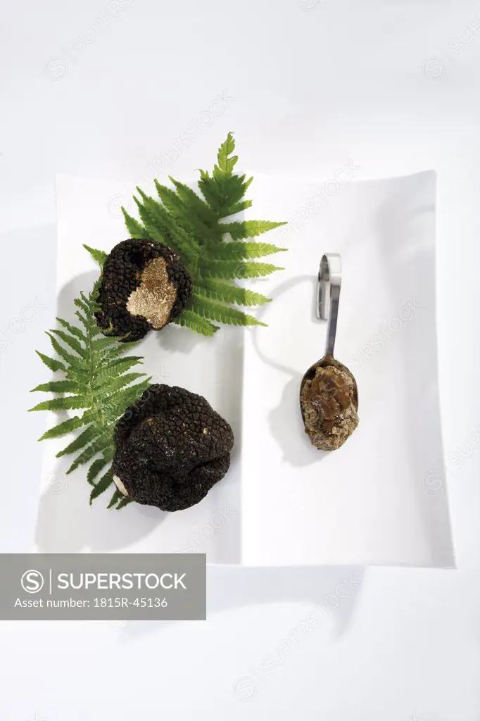 Black Truffles and truffle pesto on spoon, elevated view