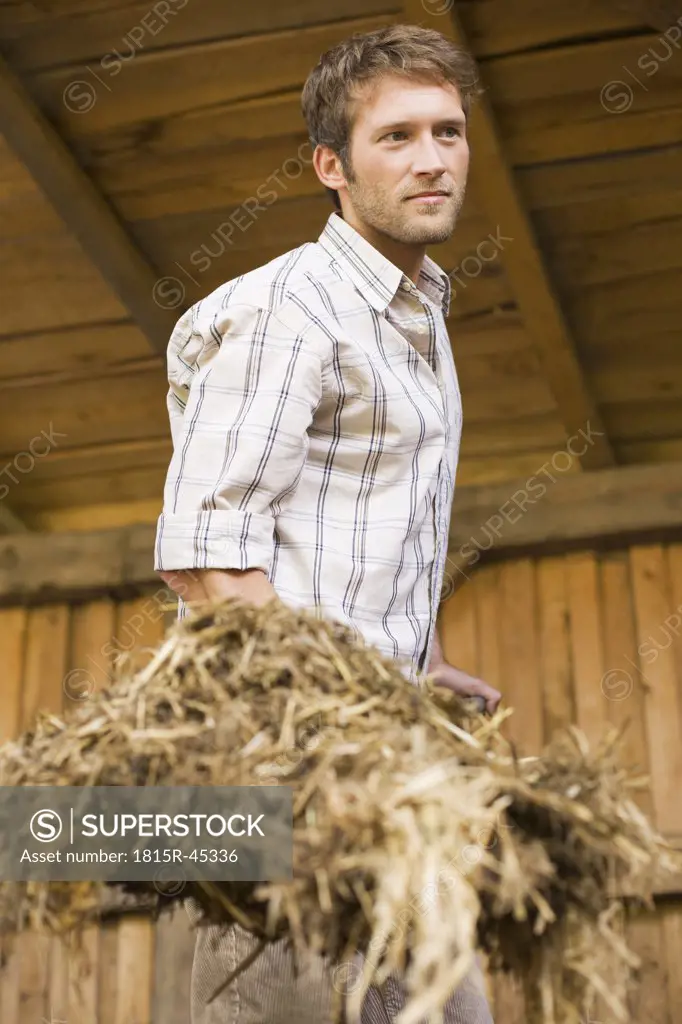 Farmer shovelling hay in barn
