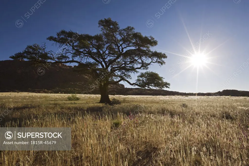 Africa, Namibia, Landscape