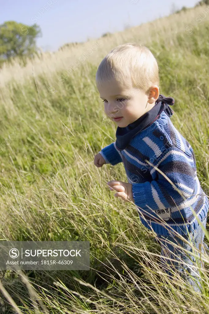 Little boy (1-2) walking in the meadow
