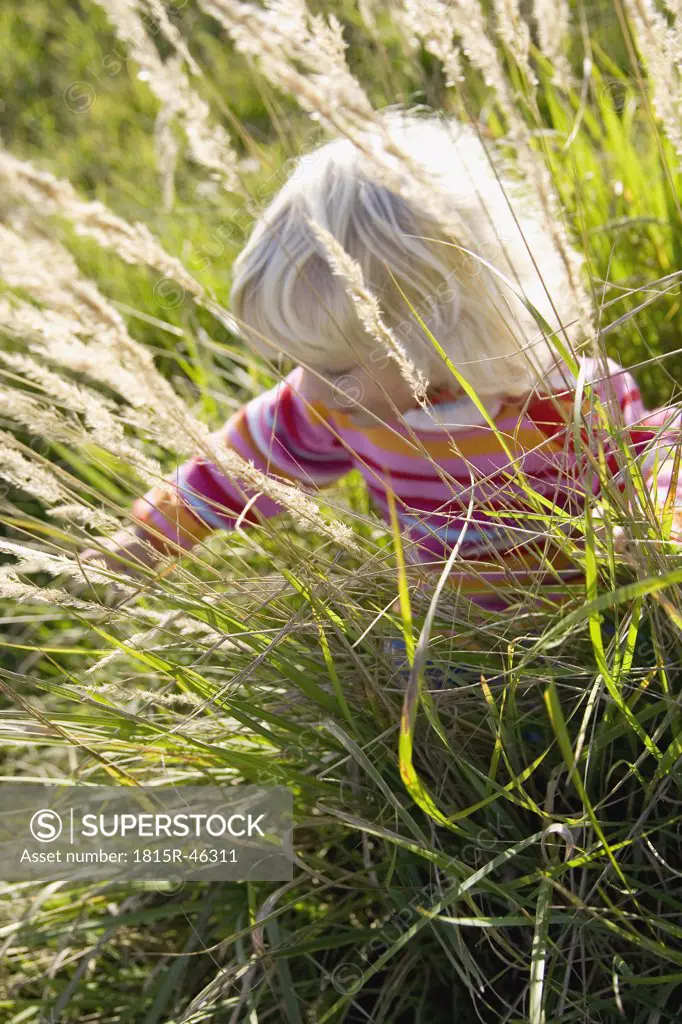 Little girl (2-3) playing in meadow
