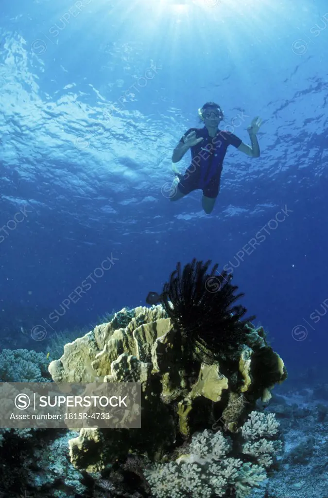 Schnorchlerin über Korallenriff