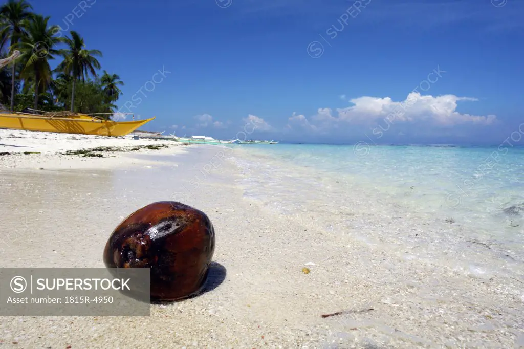 Philippinen, Visayas, Malapascua Island, coconut on beach