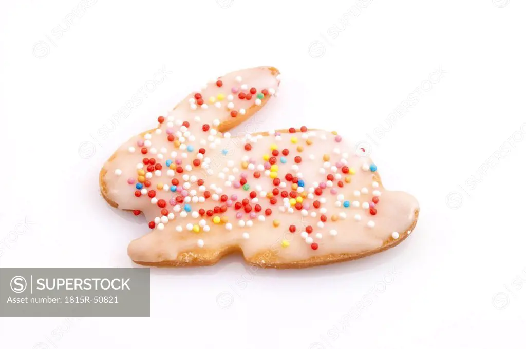 Bunny_shaped Easter cookie