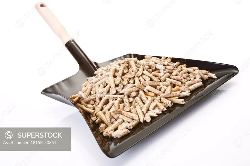 Wood pellets on Dustpan, close_up
