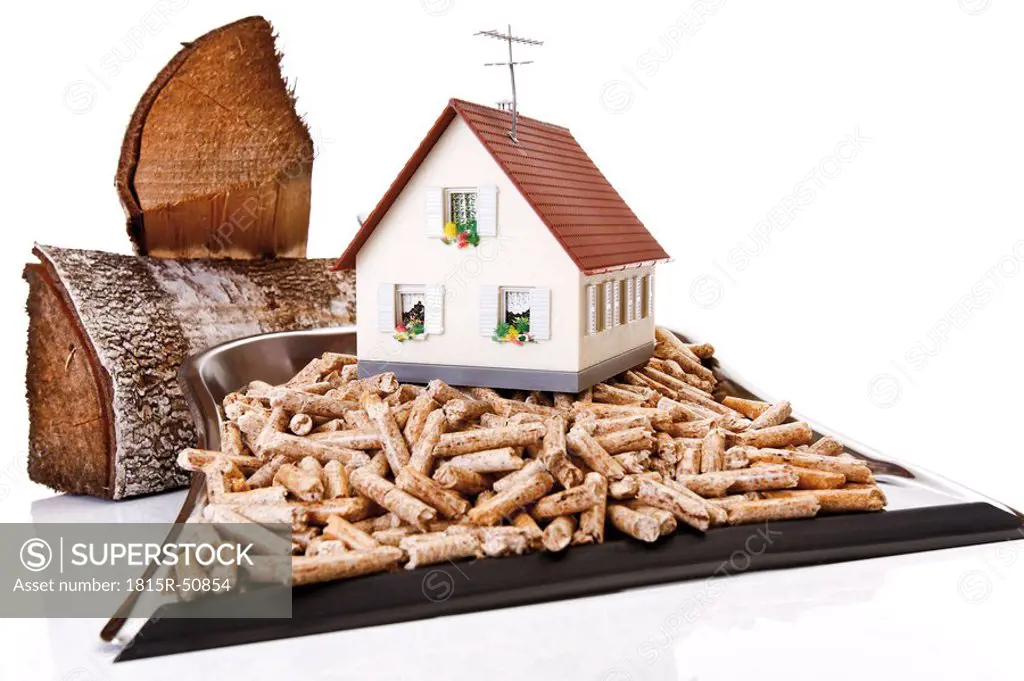 Wood pellets on Dustpan, toy house and logs, close_up