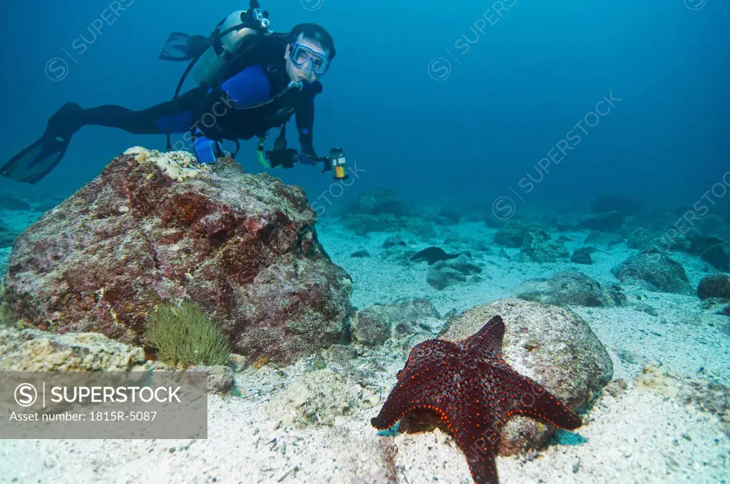 Galapagos Islands, Ecuador, Scuba diver and starfish