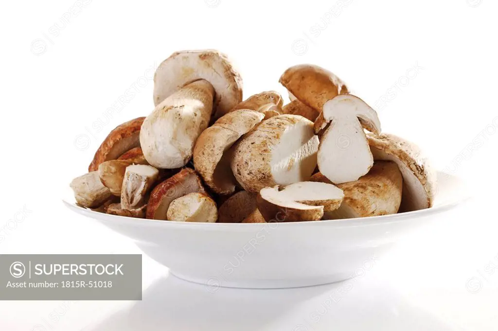 Ceps in bowl, close_up