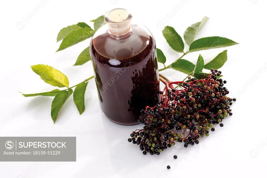 Elderberry wine and black elder Sambucus nigra, elevated view