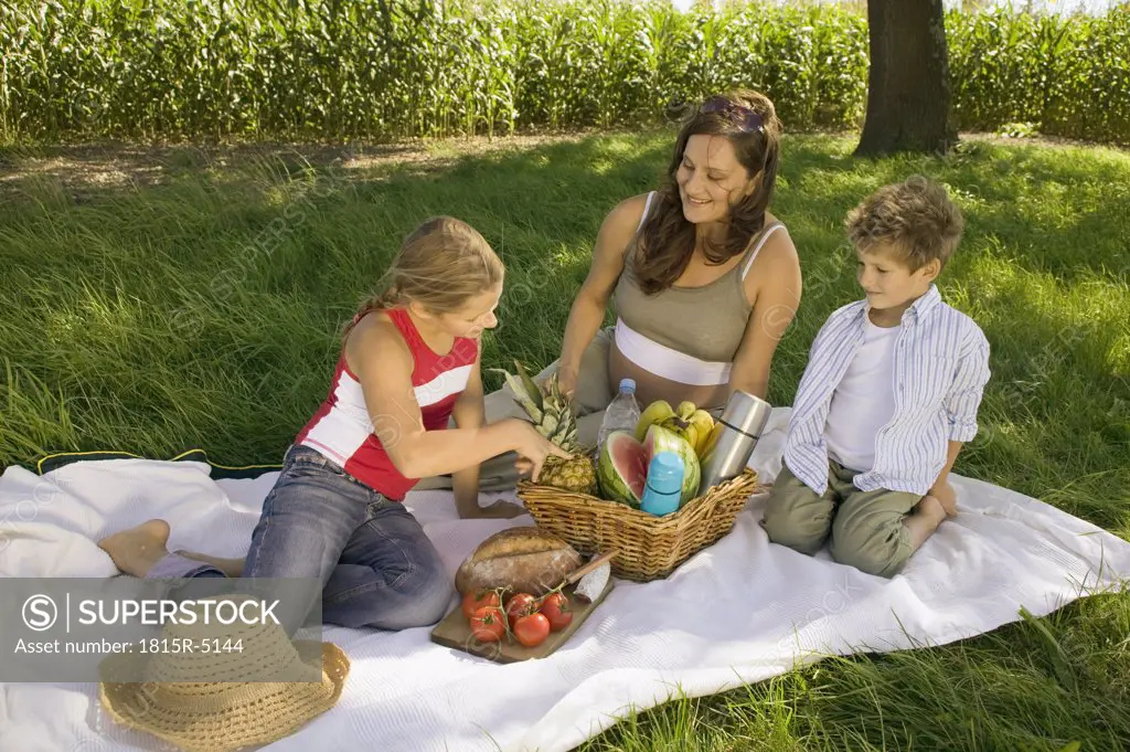 Mother with daughter and son at picnic