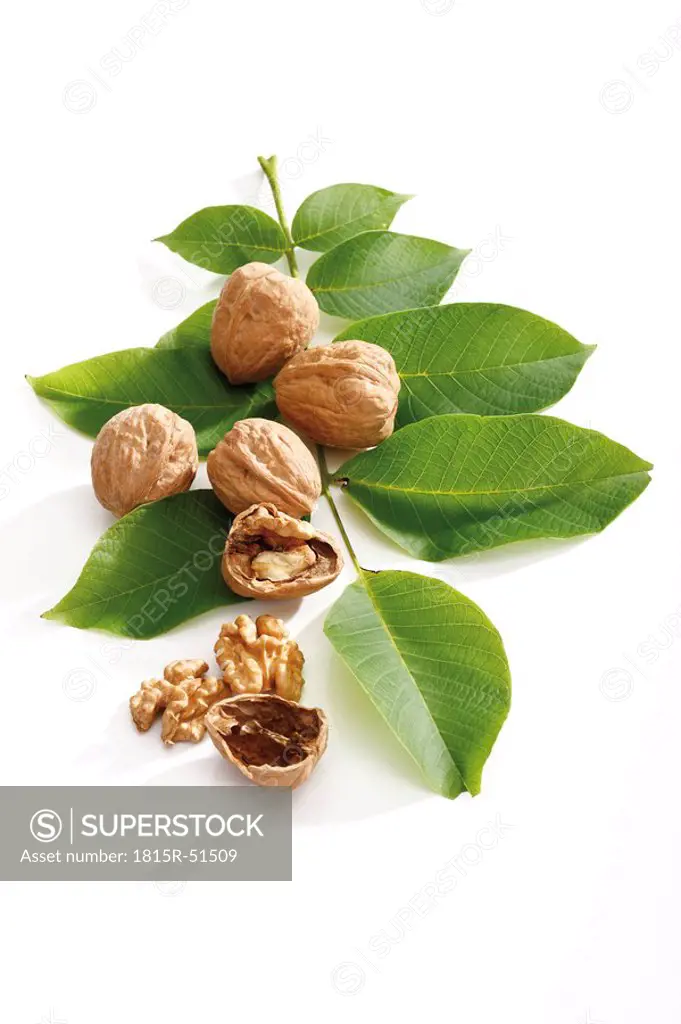 Fresh walnuts and leaves