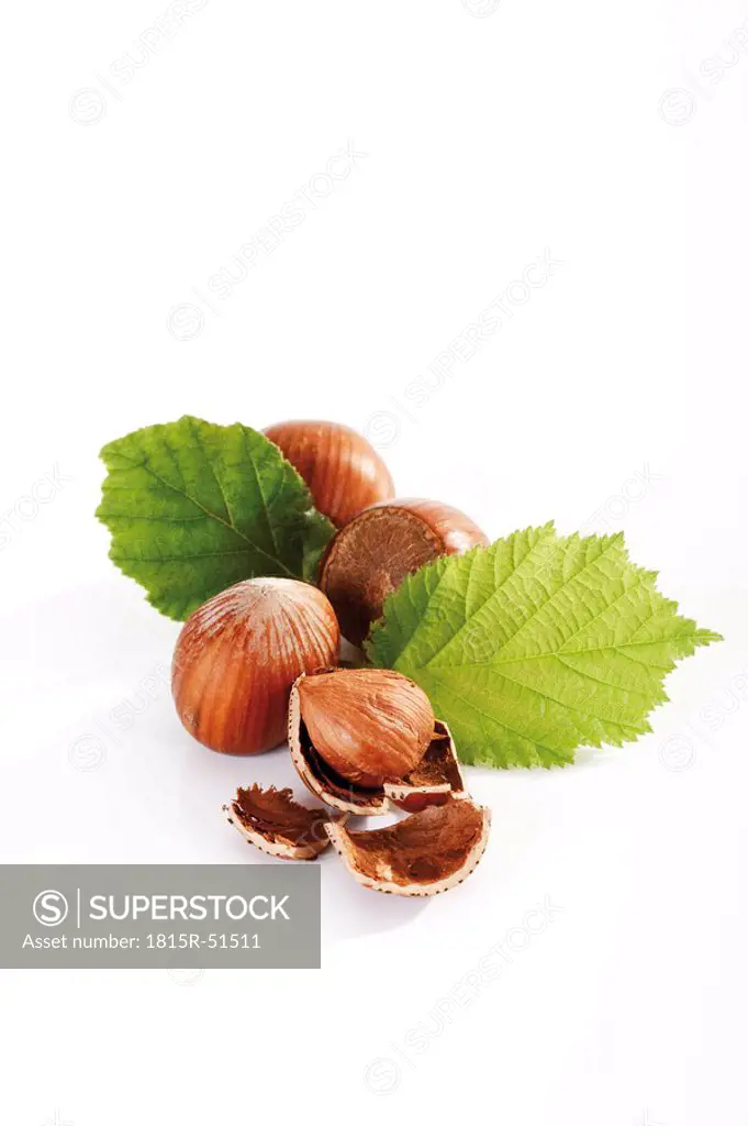 Fresh Hazelnuts and leaves