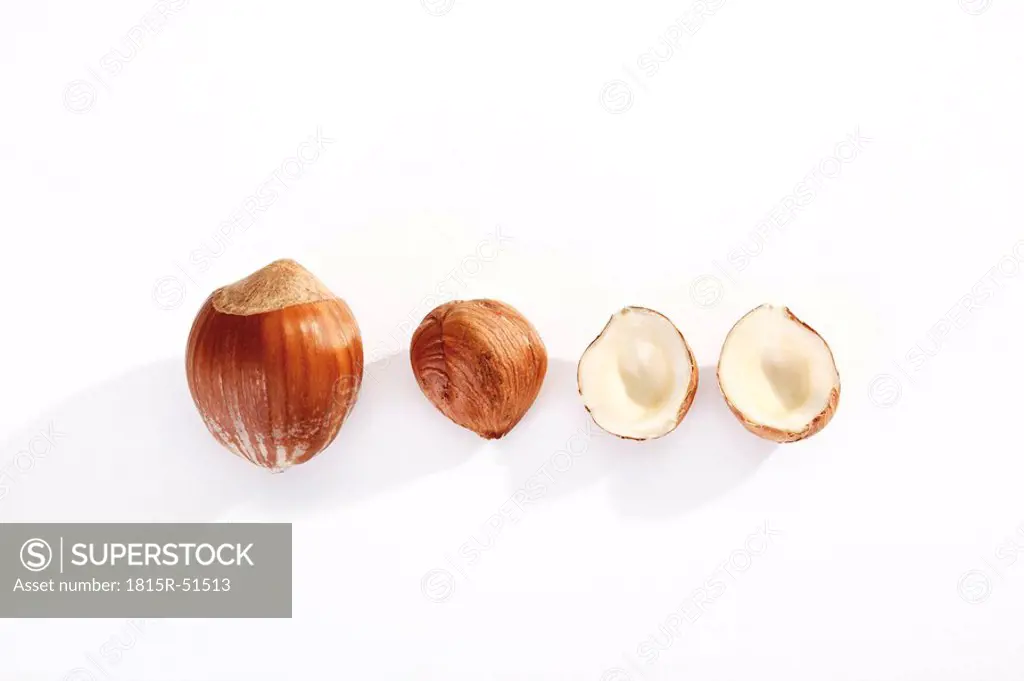 Hazelnuts in a row, elevated view