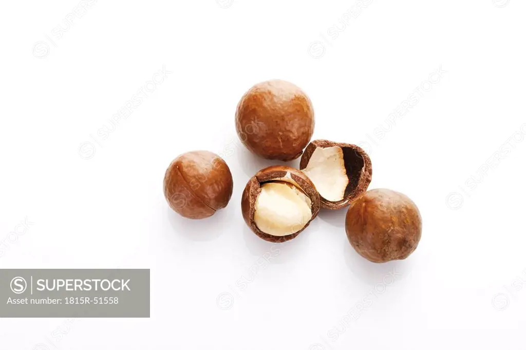 Macadamia nuts,, elevated view