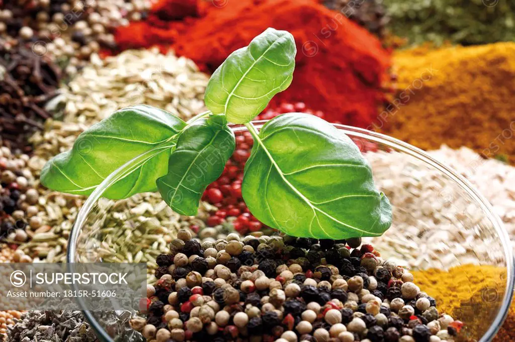 A selection of spices, close_up