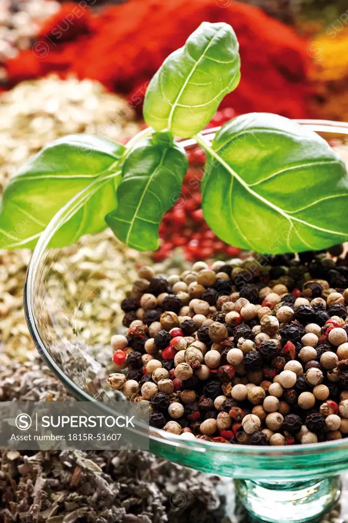 A selection of spices, peppercorns in glass bowl, close_up