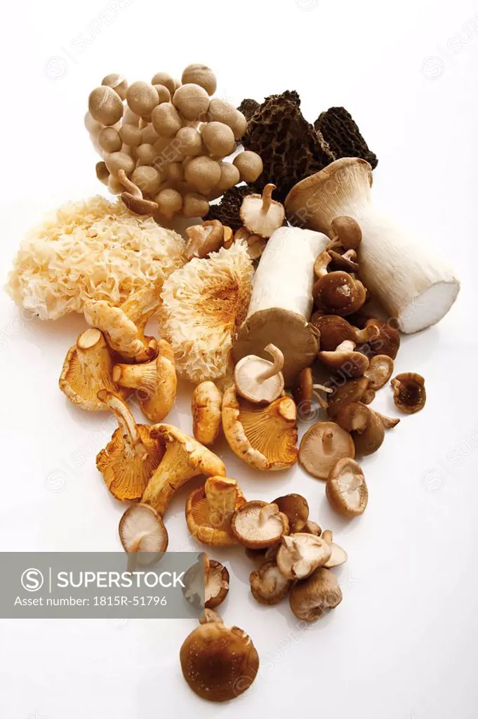 Assorted mushrooms, elevated view