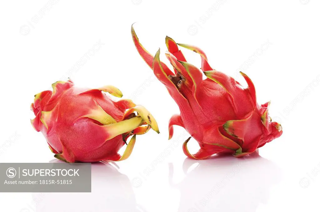 Dragon fruits Hylocereus undatus