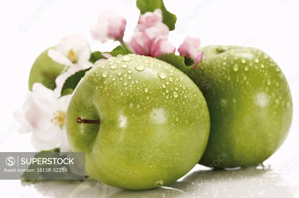 Green apples with water droplets, in background apple blossom, close_up