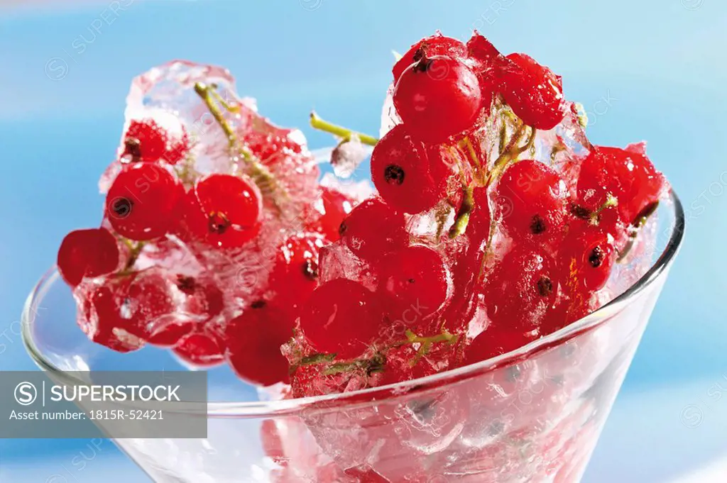 Cocktailglass with frozen red currants, close_up